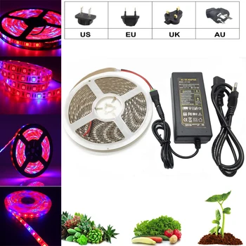Augalų Auga šviesos Pilno Spektro LED Juostelės, Gėlių fito lempos 5m Pritemdomi Raudona mėlyna efektą Sukeliančių Hydroponic + Maitinimo adapteris