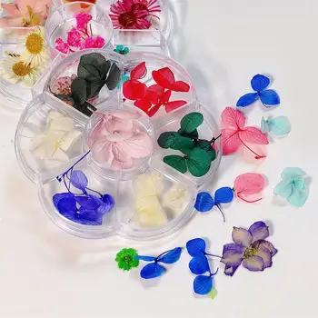 Džiovintos Gėlės Nails Art 3D Lange Papuošalai Džiovintų Gėlių Kelių Spalvų Decal Žavesio Dizaino Nagai